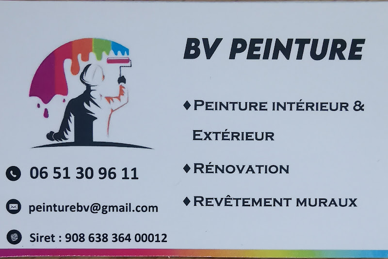 BV Peinture - façadier enduiseur à Épernay