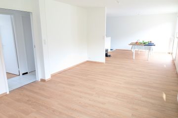 EURL Jim' Renov' - façadier enduiseur à Neuves-Maisons
