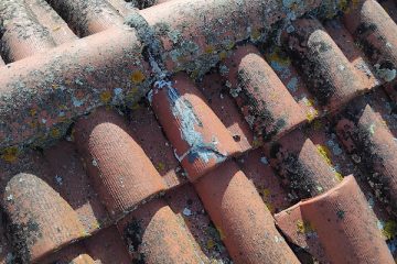 Selosse Rénovation - façadier enduiseur à Layrac